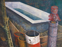 Opera di Antonio Tonelli - La vasca da bagno nell'orto - AT314